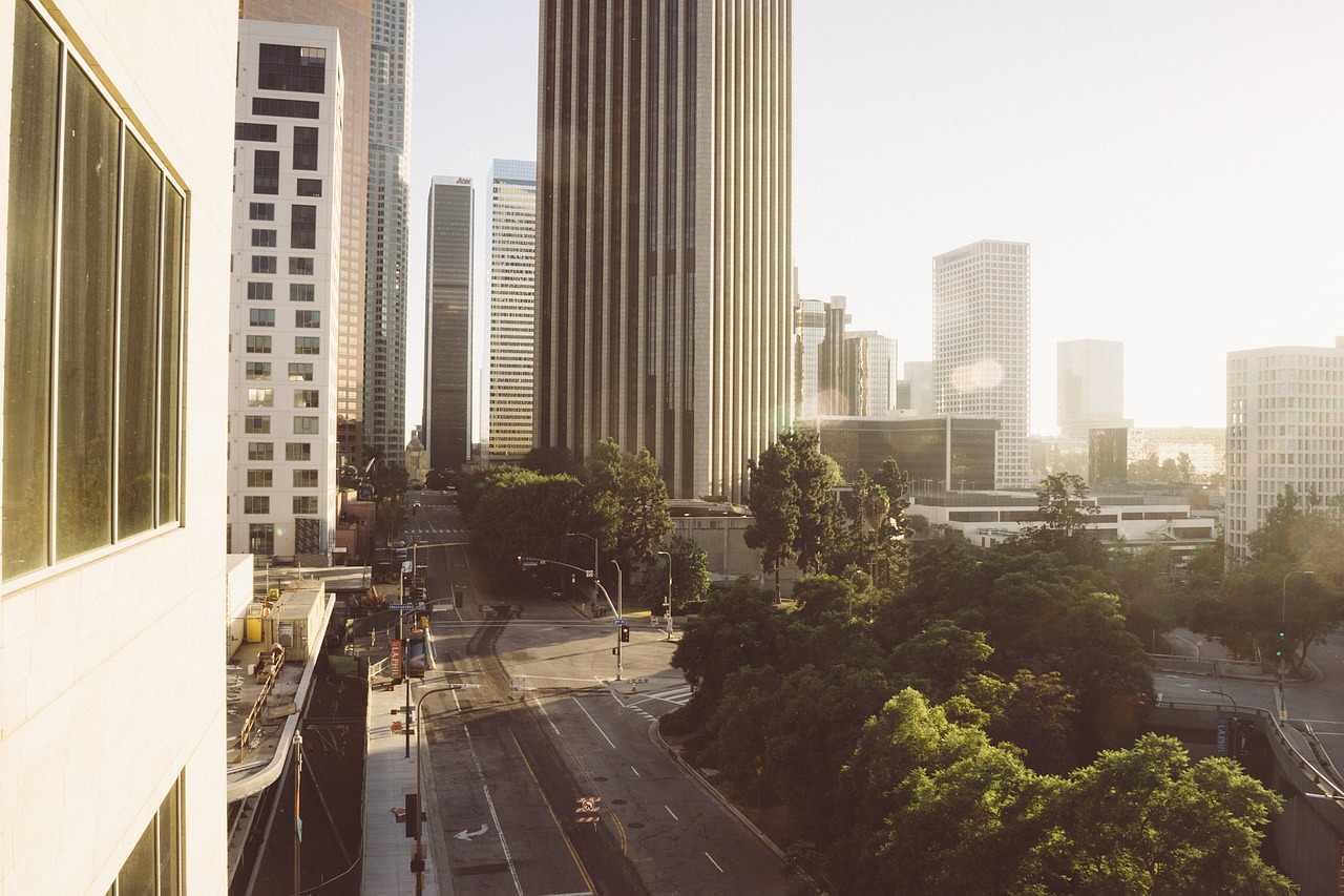 local expertise in Los Angeles construction